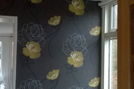 WP_20160304_14_48_25_Pro